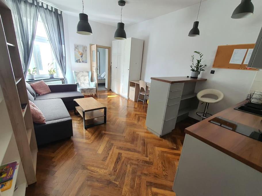 Apartament Przy Szkole Filmowej, Darmowy Parking Łódź Exterior foto