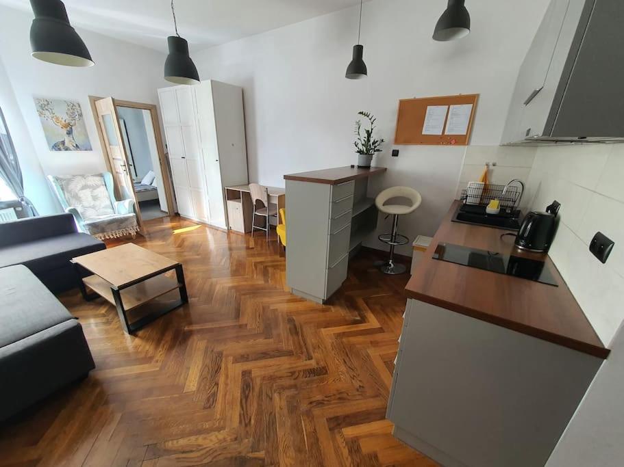 Apartament Przy Szkole Filmowej, Darmowy Parking Łódź Exterior foto