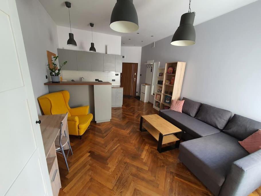 Apartament Przy Szkole Filmowej, Darmowy Parking Łódź Exterior foto